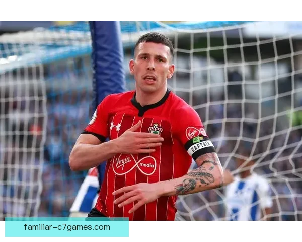 南安普顿足球俱乐部发展历程与未来战略分析